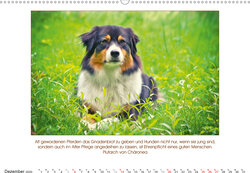 Innenansicht 12
