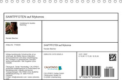 Innenansicht 13