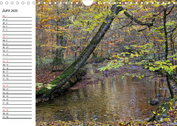 Innenansicht 6