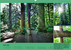 Innenansicht 6