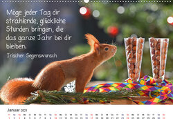 Innenansicht 1