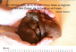 Innenansicht 5