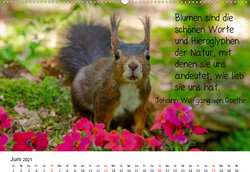 Innenansicht 6