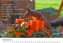 Innenansicht 12