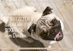 Innenansicht 1