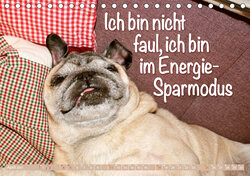 Innenansicht 4