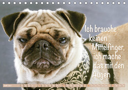 Innenansicht 6
