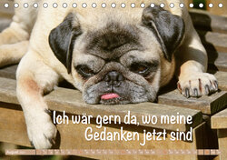 Innenansicht 8