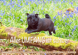 Innenansicht 9