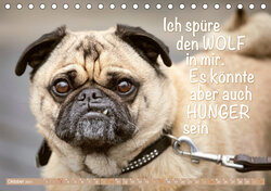 Innenansicht 10