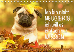Innenansicht 11