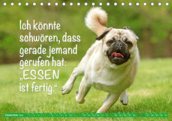 Innenansicht 12