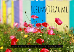 Innenansicht 8