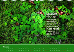 Innenansicht 5