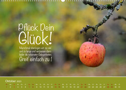 Innenansicht 10