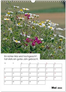 Innenansicht 7