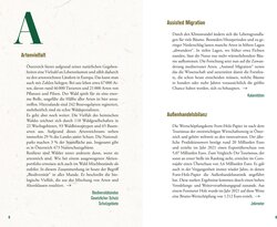 Innenansicht 3