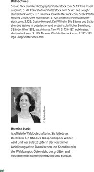 Innenansicht 7