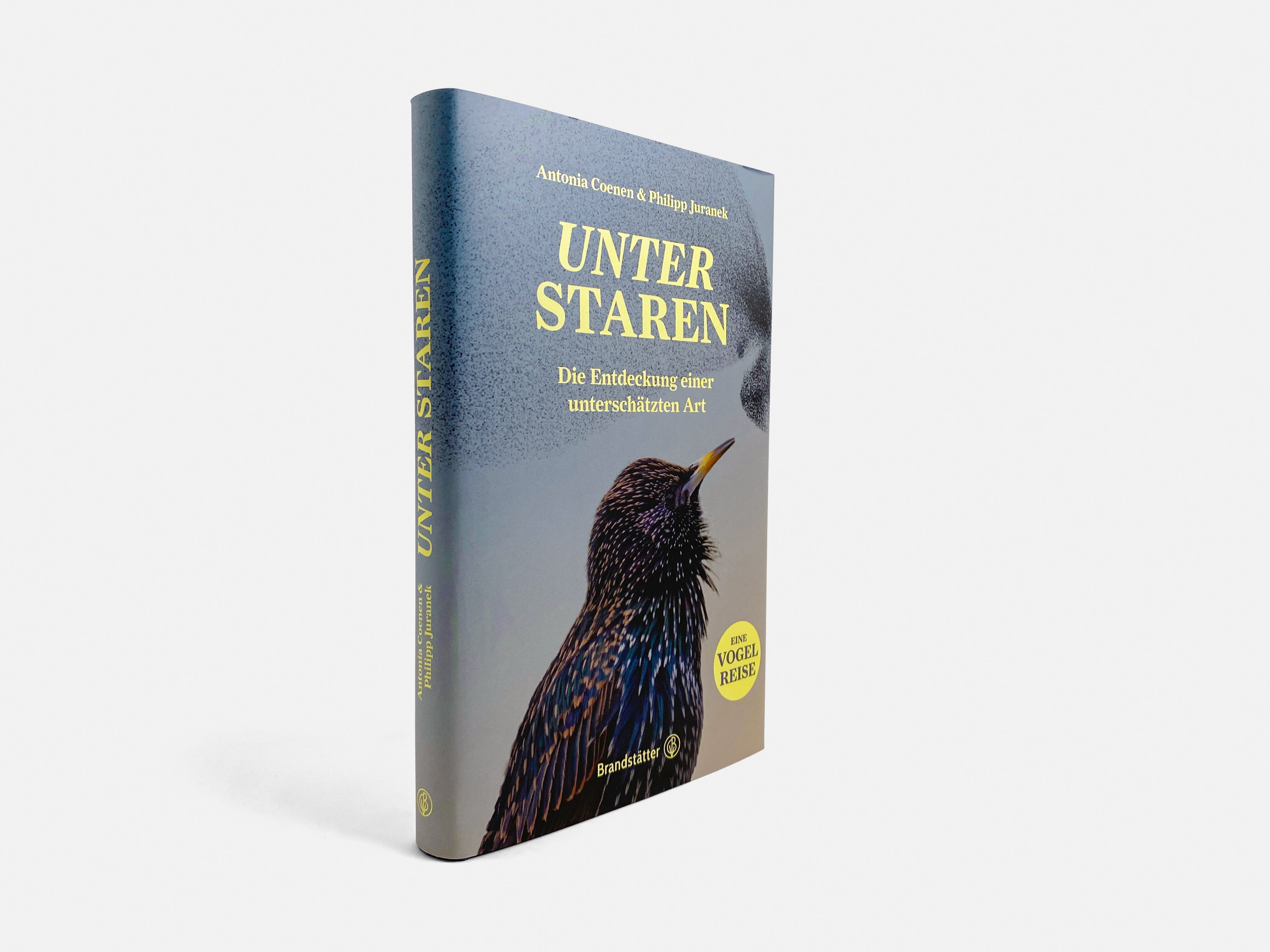 lesen
