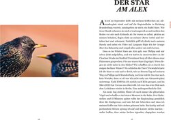 Innenansicht 10