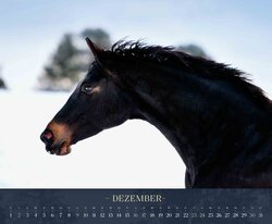 Innenansicht 12