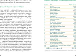 Innenansicht 3