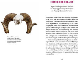 Innenansicht 6