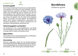 Innenansicht 1