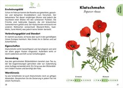 Innenansicht 2