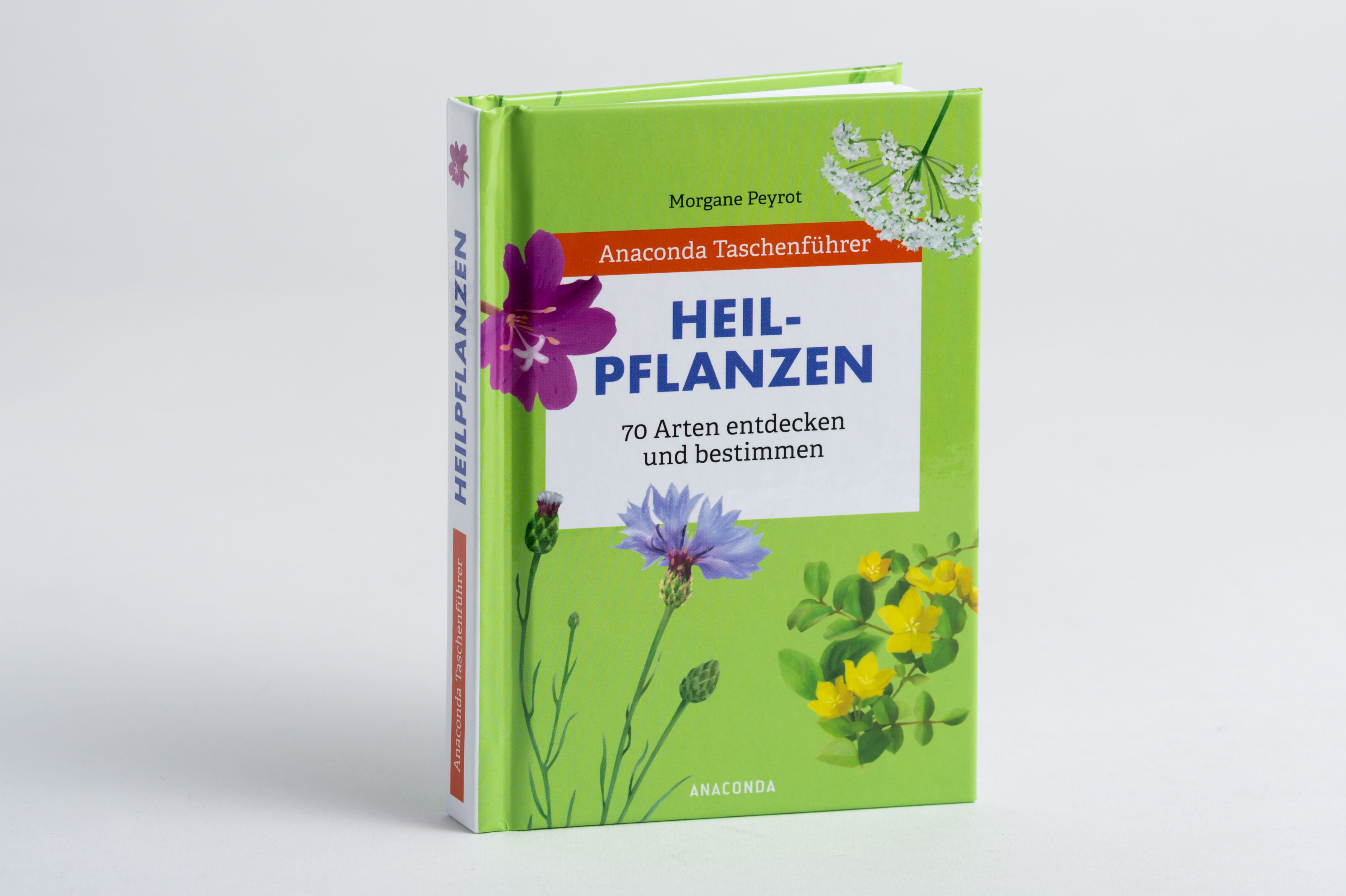 lesen