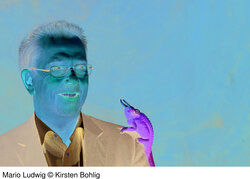 Autorenbild