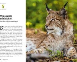 Innenansicht 2
