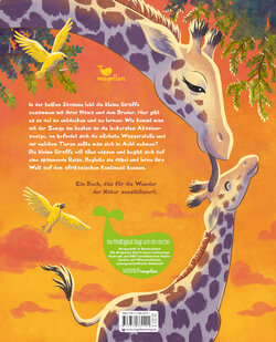 Backcover