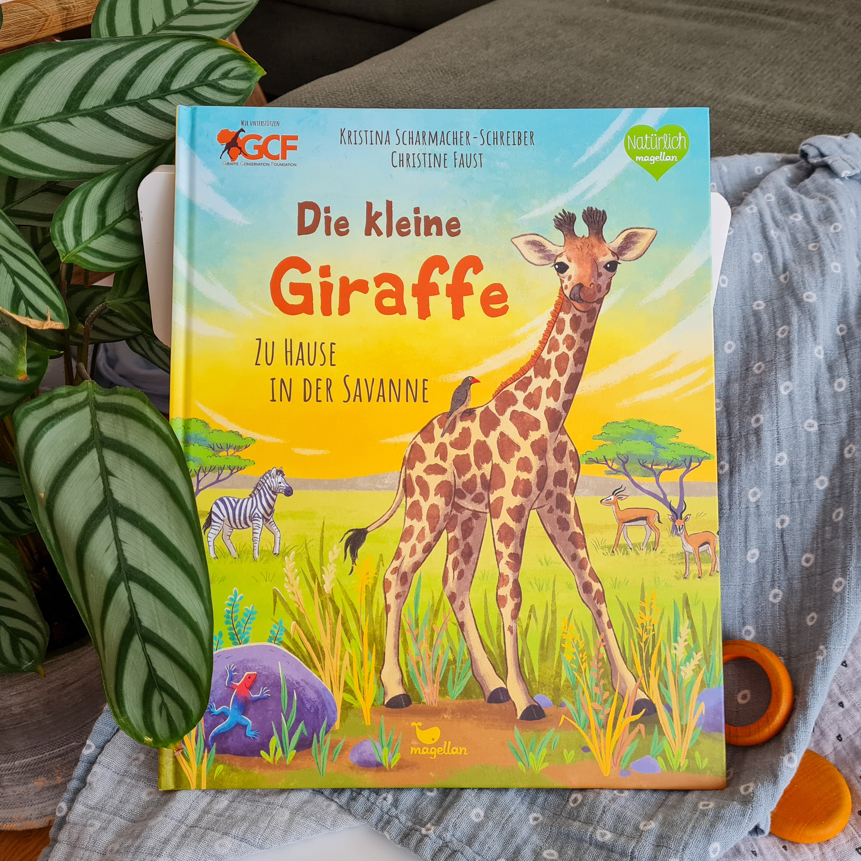 lesen