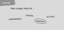 Innenansicht 4