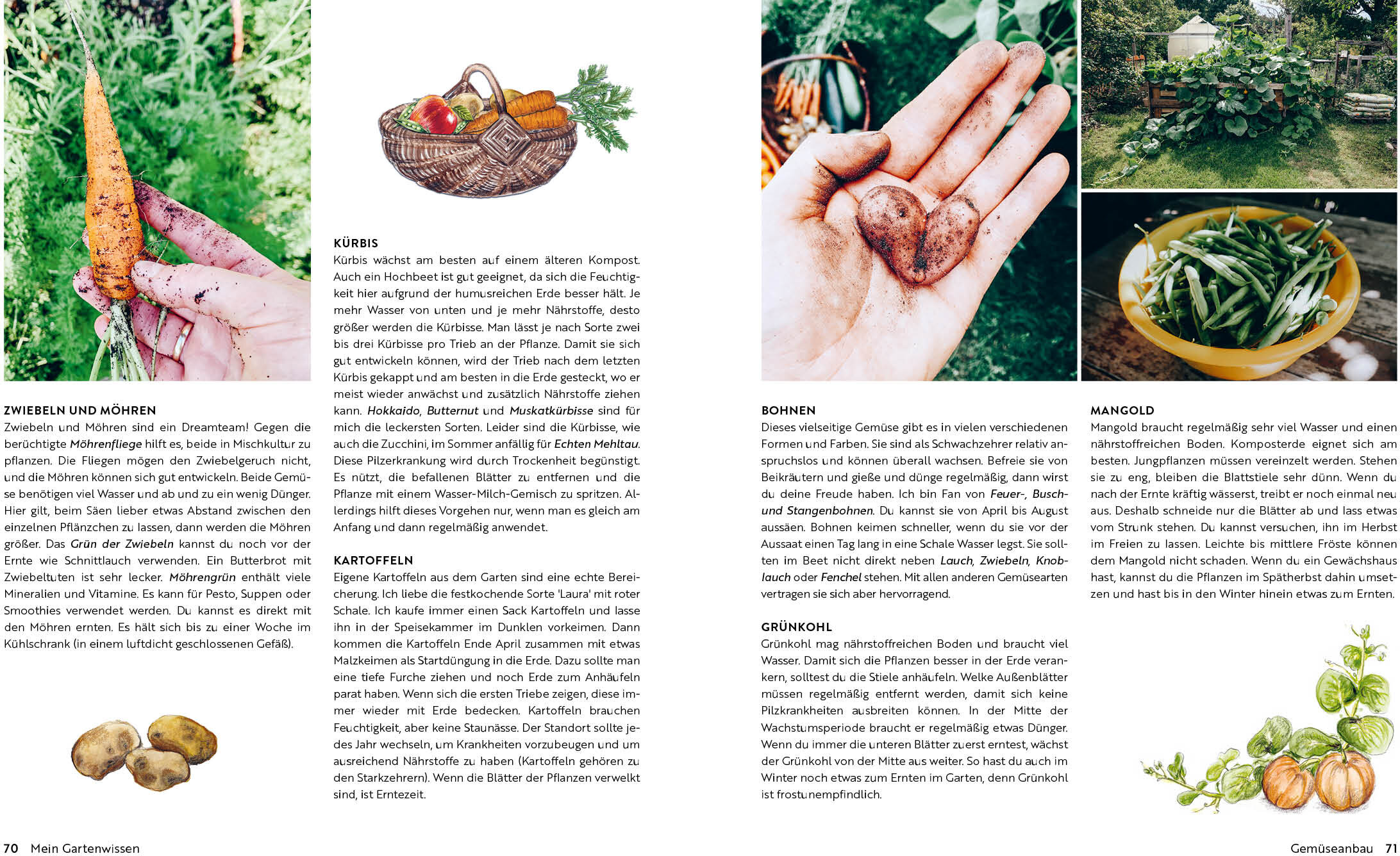 lesen