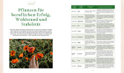 Innenansicht 12