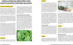 Innenansicht 6