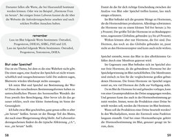 Innenansicht 6