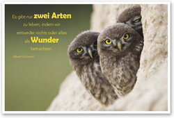 Innenansicht 1