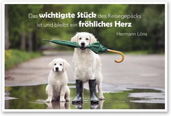 Innenansicht 3