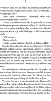 Innenansicht 4