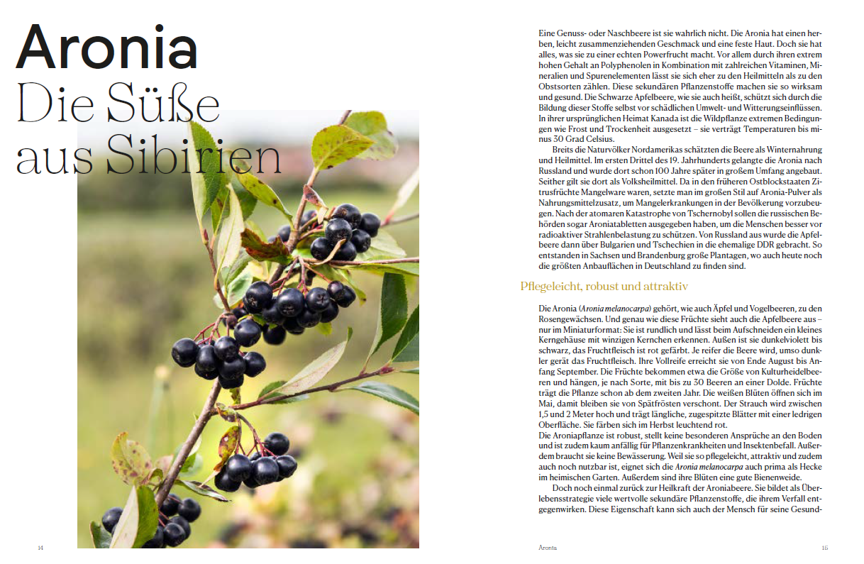 lesen
