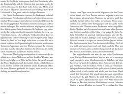 Innenansicht 4