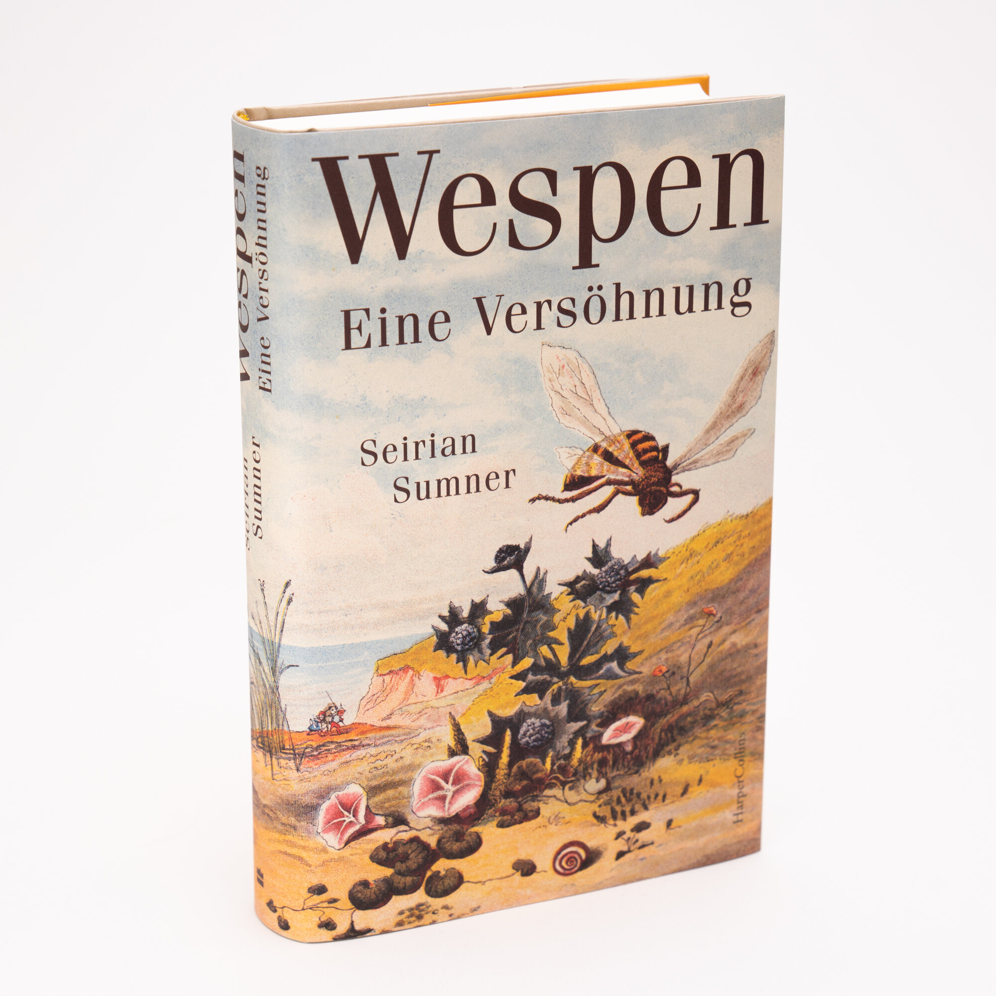 lesen