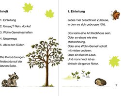 Innenansicht 2