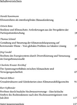 Inhaltsverzeichnis 1