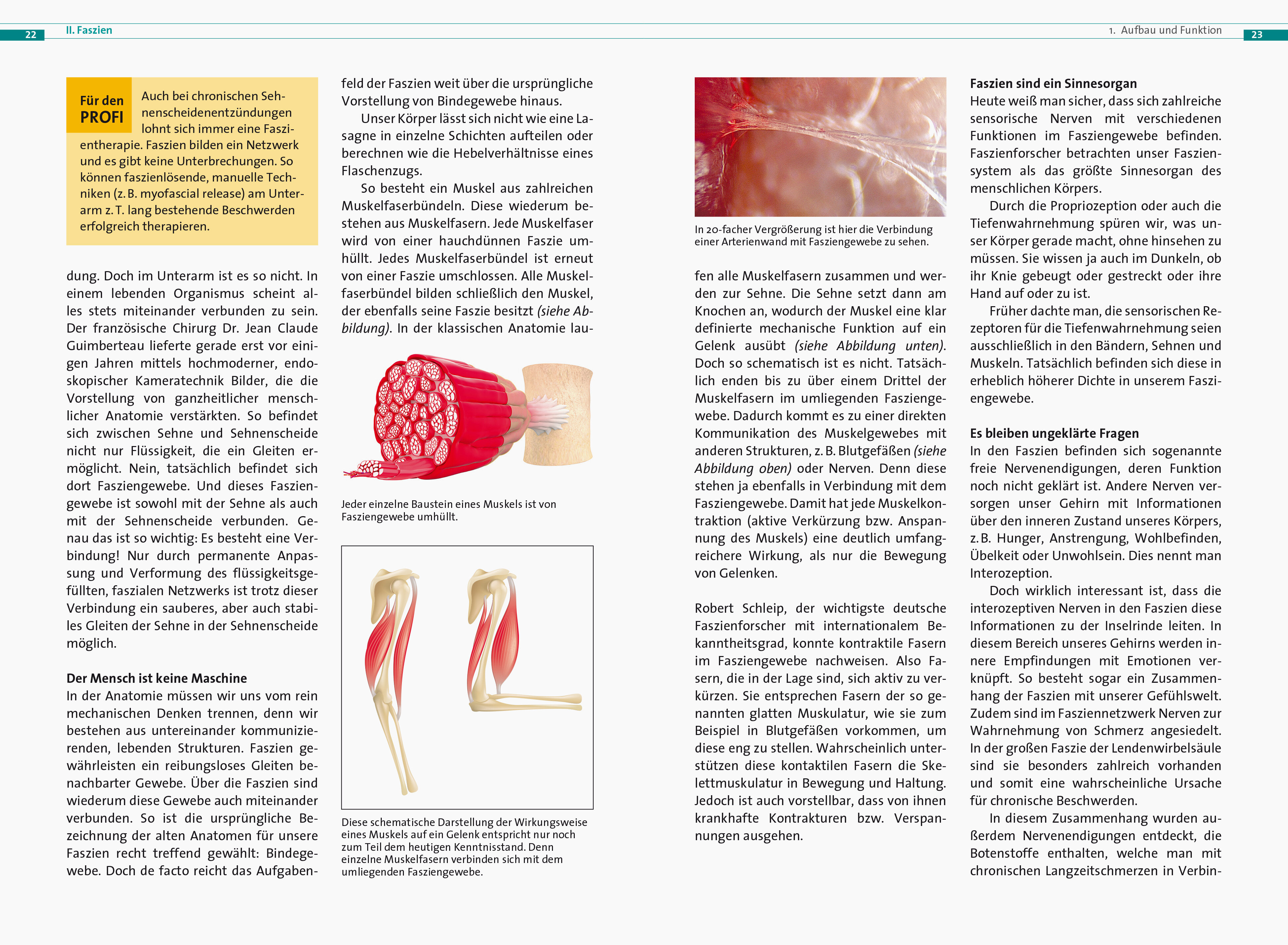 lesen
