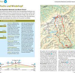 Innenansicht 4