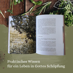 Innenansicht 1